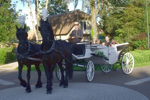 Rene vd beld schutterskoning 2012 26-05-2012